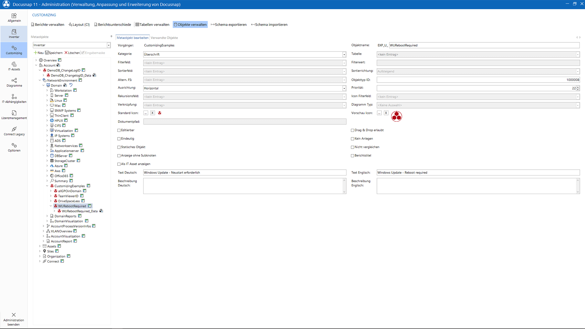 Screenshot: Customizing Objektverwaltung