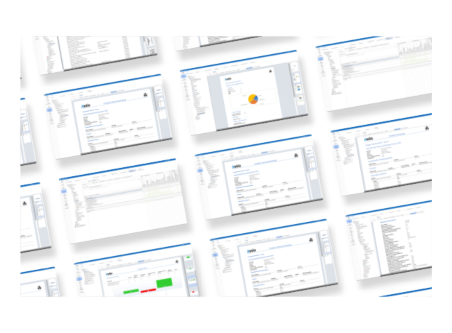 Zusammenstellung einiger Screenshots von Berichten und Auswertungen, die von der Software Docusnap bereit gestellt werden.