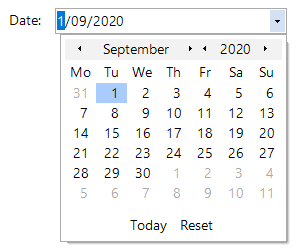 Docusnap-Edit-DateTime-Picker