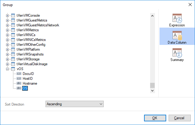 Docusnap-Report-Designer-Group-Condtion-Data-Column-create