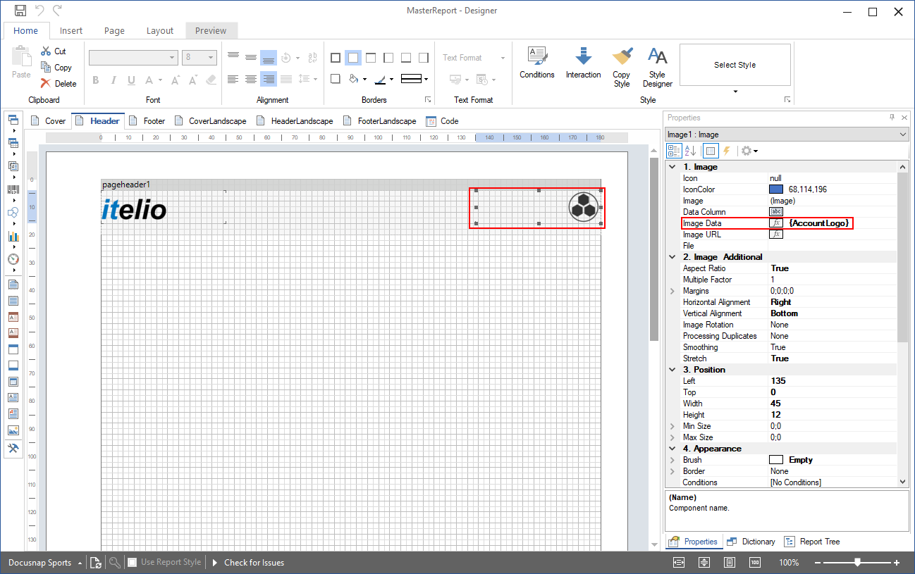 Docusnap-Report-Designer-Master-Report-account-Logo