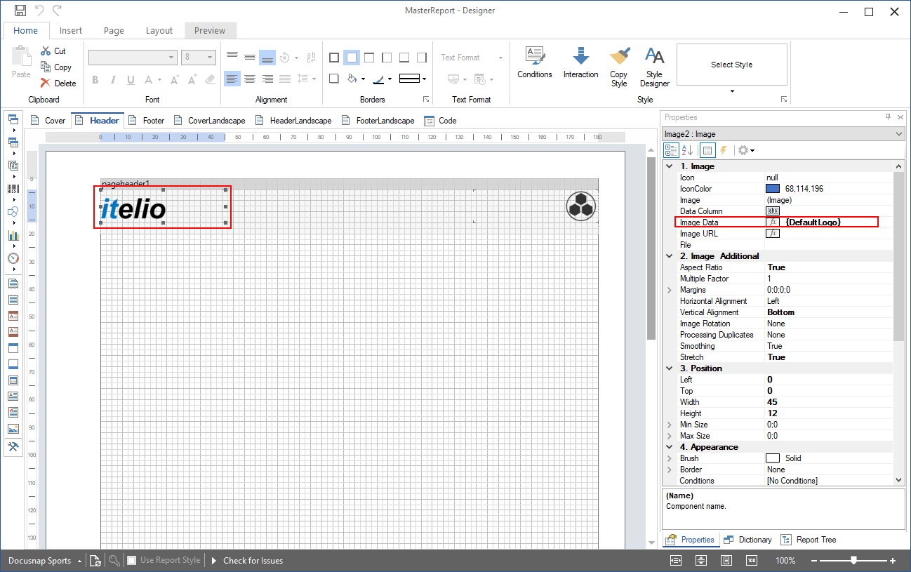 Docusnap-Report-Designer-Master-Report-Default-Logo