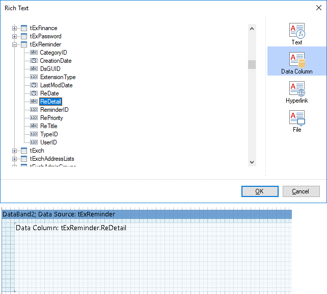 Docusnap-Report-Designer-rich-text