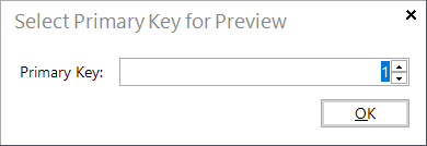 Docusnap-Report-Designer-Select-Primary-Key