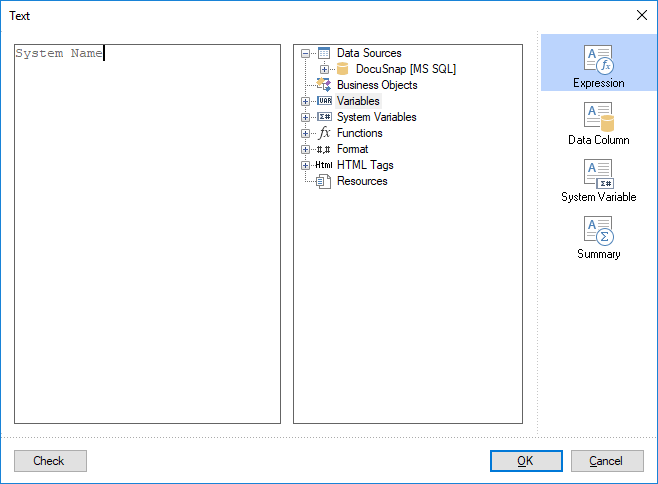 Docusnap-Report-Designer-Text-Edito-Expression