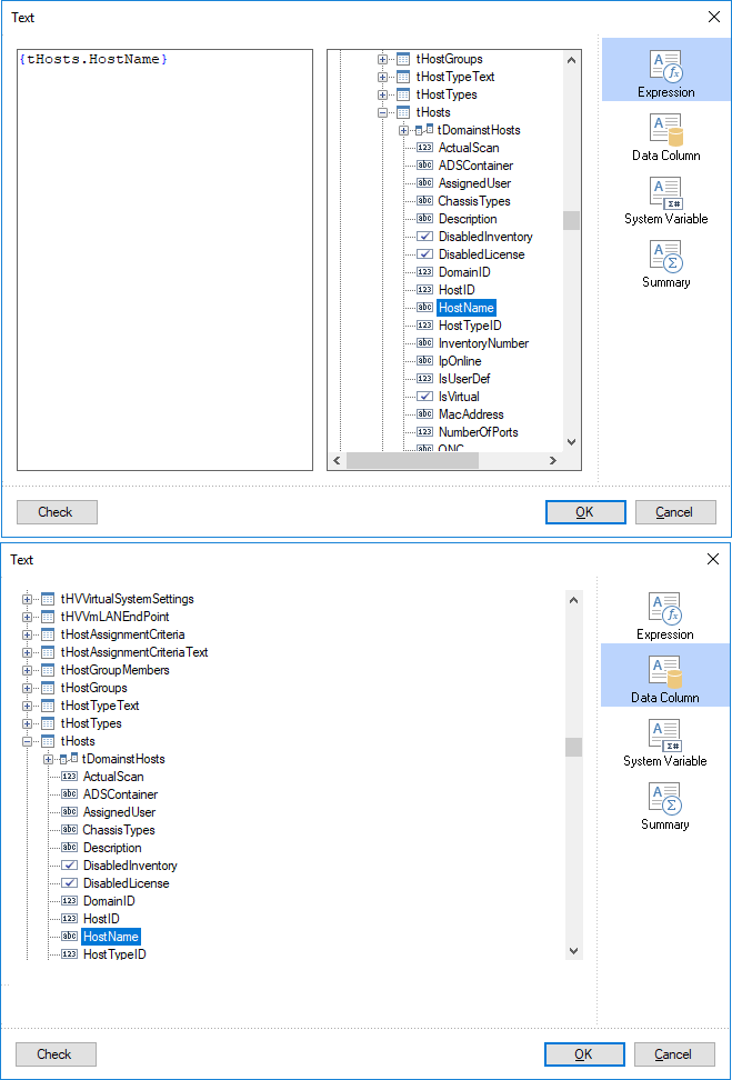 Docusnap-Report-Designer-Text-Editor-Expression-Data-column