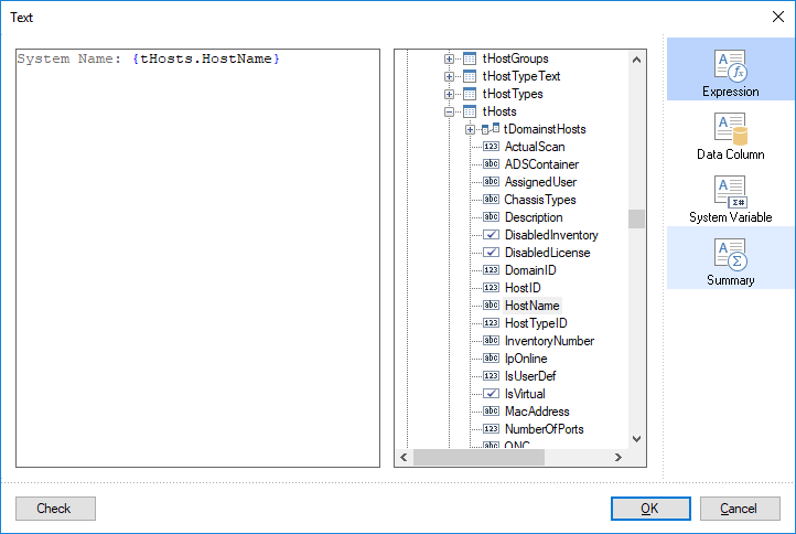 Docusnap-Report-Designer-Text-Editor-Expression-Statment