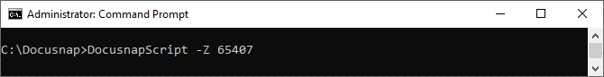 Docusnap-Script-Windows-Command-Line-Parameter-Z