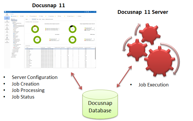 Docusnap-Server-Overview-Graph