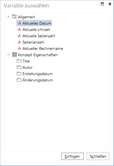 Docusnap-IT-Konzept-Variablen