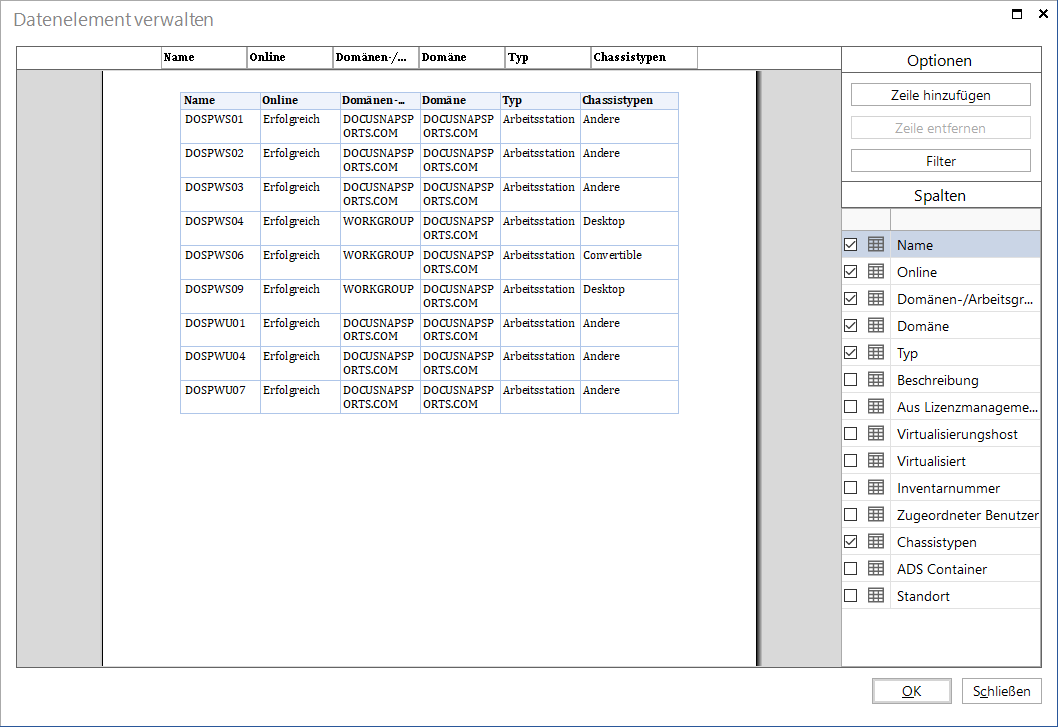 Docusnap-IT-Konzepte-Datenelement-Spaltenoptionen