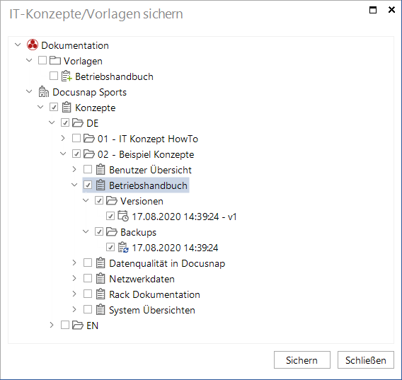 Docusnap-IT-Konzepte-sichern