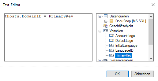 Docusnap-Berichte-Designer-Text-Editor