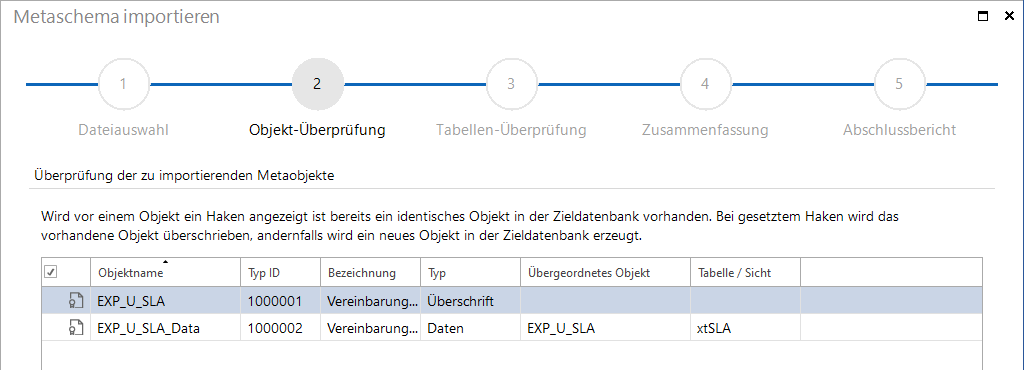 Docusnap-Metaschema-importieren-Objekt-Ueberpruefung