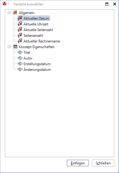 Docusnap-IT-Konzept-Variablen