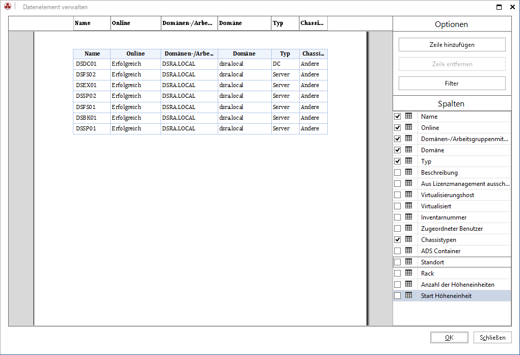 Docusnap-IT-Konzepte-Datenelement-Spaltenoptionen