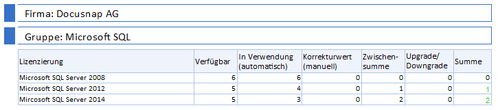 Docusnap-Lizenzmanagement-Berichte-Auswertung-Lizenzauswertung